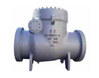 Check Valves