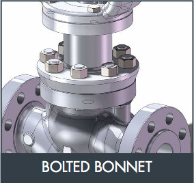 bolted-bonnet