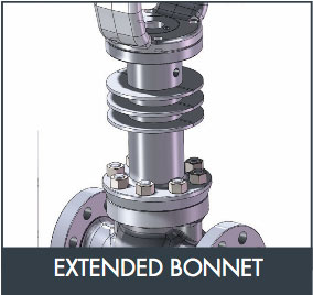 extended-bonnet