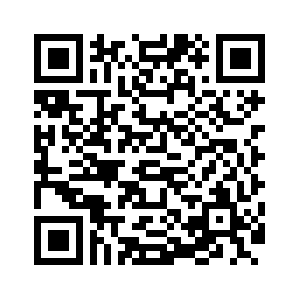 QR Canal del Informante