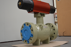 Axial_Control_Valve-_6_1500