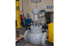 Globe_Control-Valve_12_1500-ringo-valves