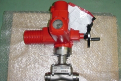 MOV-Diaphragm-ringo-valves