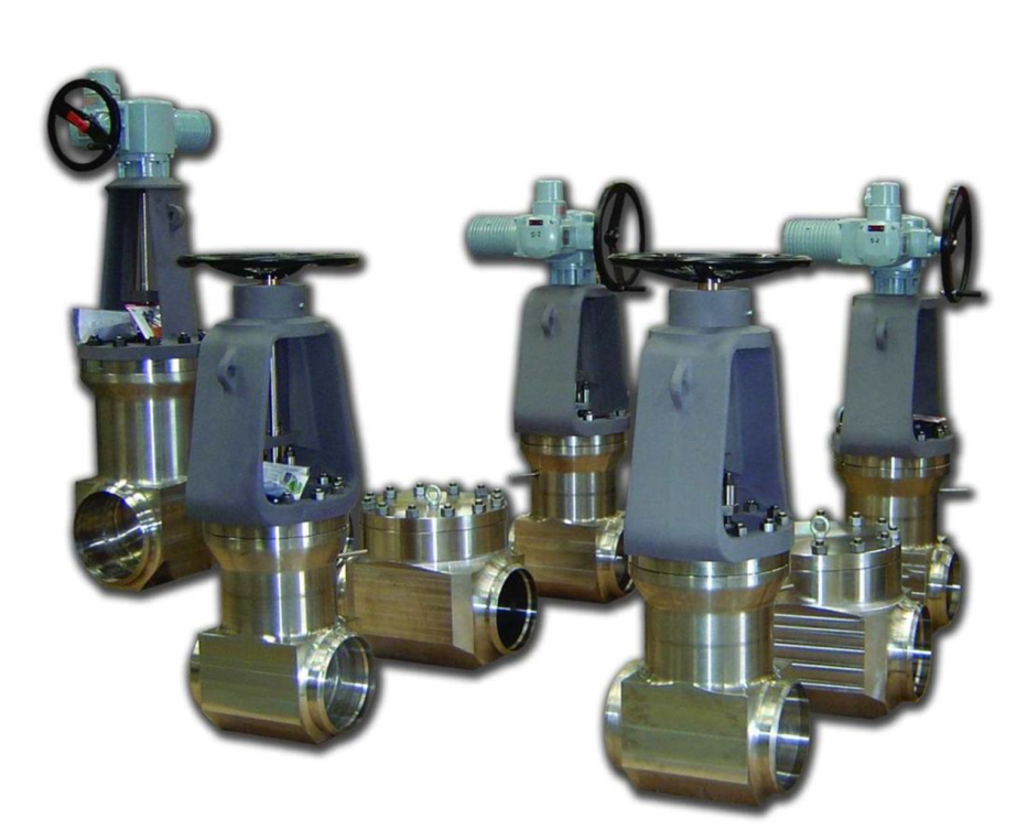 Nuclear Valves Ringo Valves